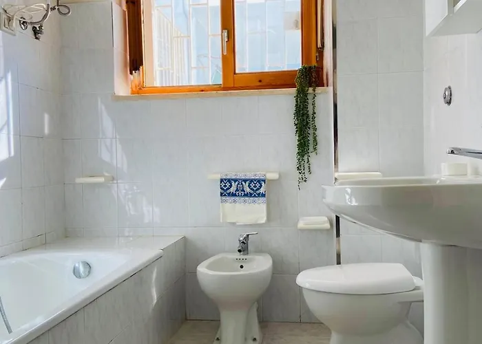 Ah Maria Pia * 阿尔盖罗